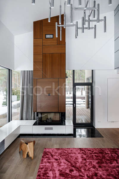 Hall in modern style Stock photo © bezikus