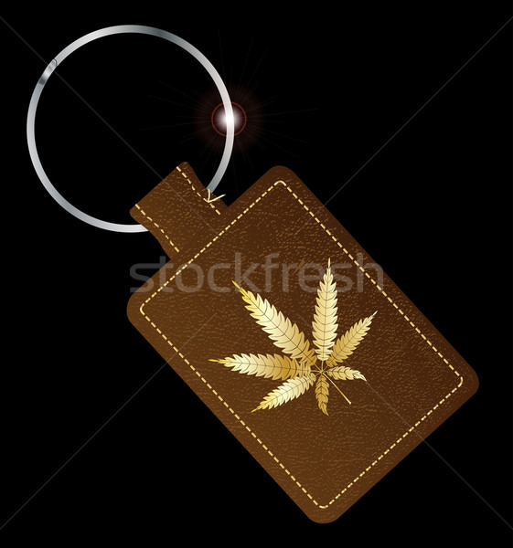 Marihuana Schlüssel braun Leder Ring Gold Stock foto © Bigalbaloo