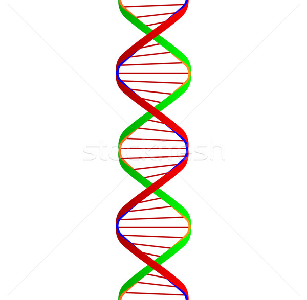 DNA ikiz spiral karikatür bilim model Stok fotoğraf © Bigalbaloo