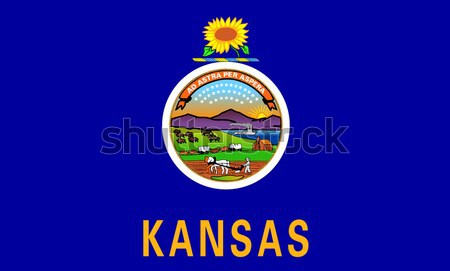 Kansas bandiera grafica america sigillo illustrazione Foto d'archivio © Bigalbaloo