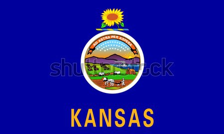 Foto stock: Kansas · bandeira · gráfico · américa · selar · ilustração