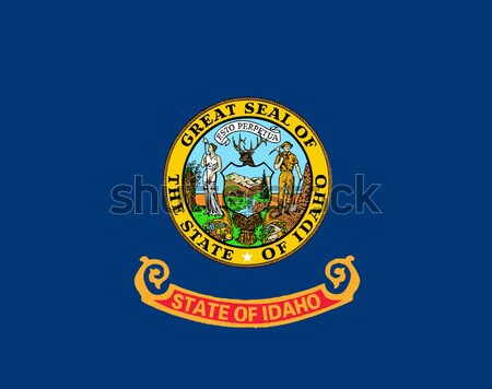 Idaho zászló USA rajz grafikus fóka Stock fotó © Bigalbaloo