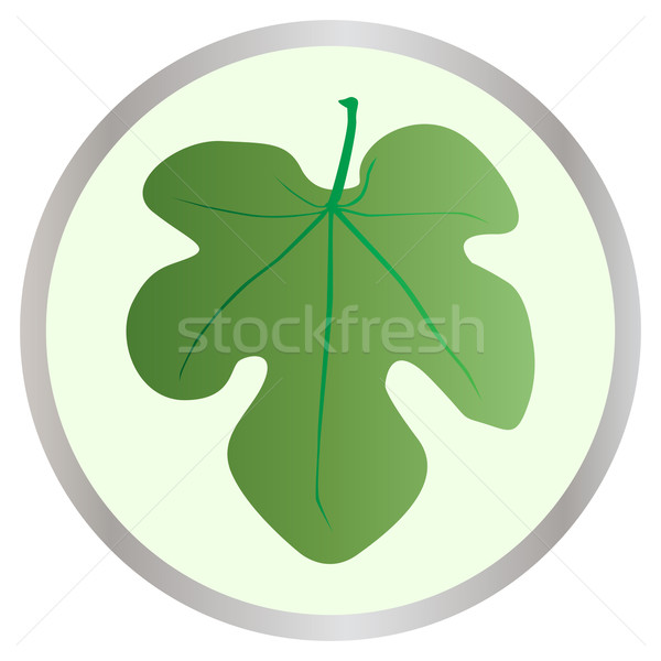 Fig Leaf Button Stock photo © Bigalbaloo