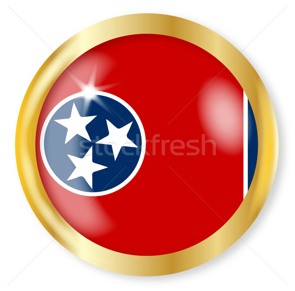 New York Flag Button Stock photo © Bigalbaloo