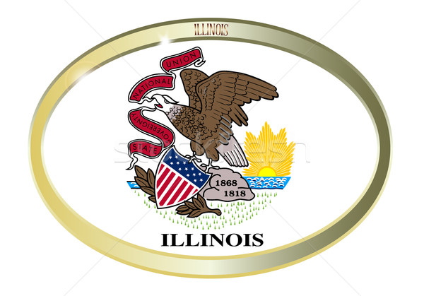 Foto d'archivio: Illinois · bandiera · ovale · pulsante · metal · isolato