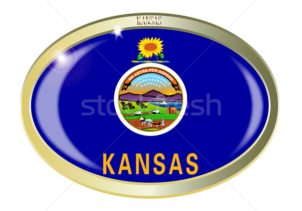 Kansas bandiera ovale pulsante metal isolato Foto d'archivio © Bigalbaloo