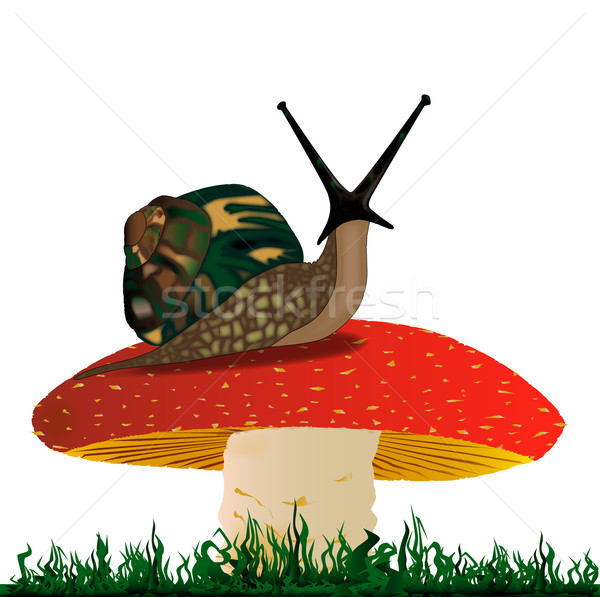 Rearing Snail Stock photo © Bigalbaloo