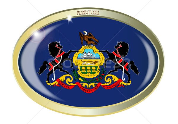 Pennsylvania banderą owalny przycisk metal odizolowany Zdjęcia stock © Bigalbaloo