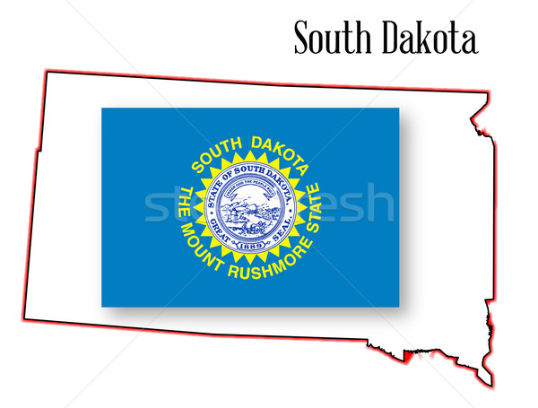 Dakota del Sur mapa bandera aislado arte Foto stock © Bigalbaloo