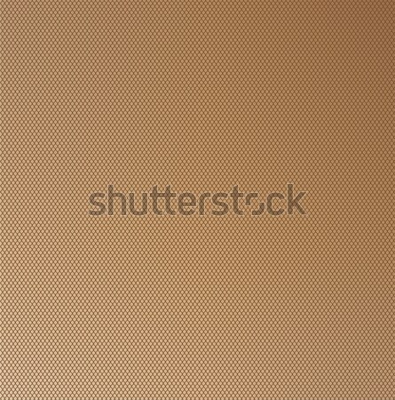 Nylon lotação grade ponto marrom Foto stock © Bigalbaloo