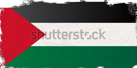 Flag of Palestine Stock photo © Bigalbaloo