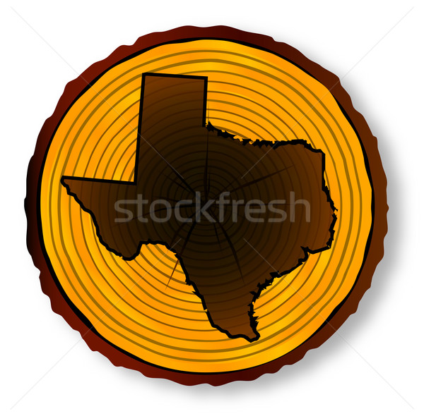 Texas Map On Timber End Section Stock photo © Bigalbaloo