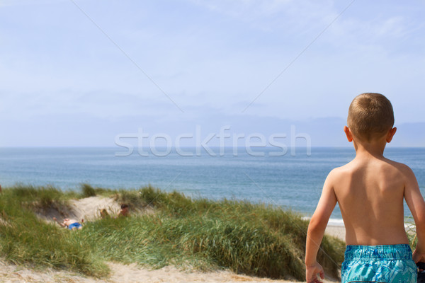 Jongen noorden zee kustlijn panoramisch Stockfoto © bigandt