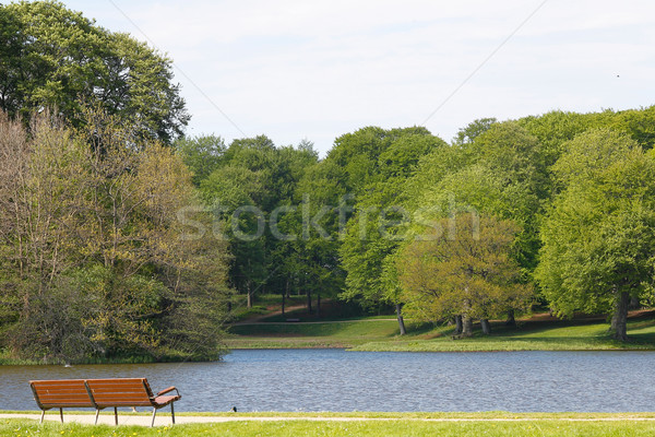 Bench, lake and tress Stock photo © bigandt