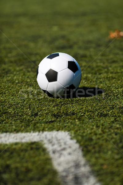 Fußball Stellplatz schwarz weiß Fußball grünen Gras Stock foto © bigandt