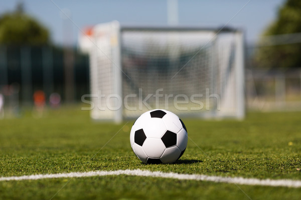 Voetbal toonhoogte zwart wit voetbal groene gras Stockfoto © bigandt