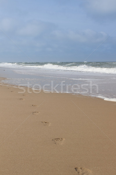 [[stock_photo]]: Humaine · empreintes · plage · suivre · horizon