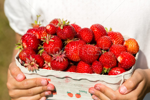 Close-up of girl holding box of strawberries Stock photo © bigandt