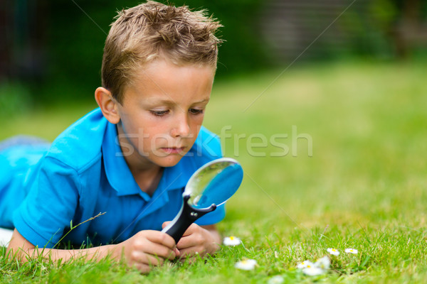 男孩 放大鏡 花園 年輕 商業照片 © bigandt