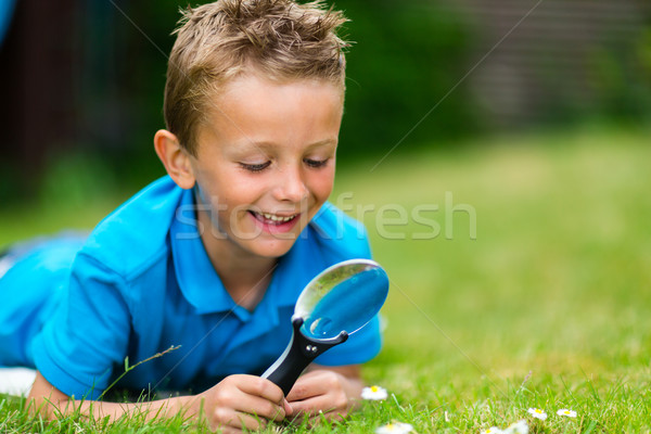 男孩 放大鏡 年輕 花園 商業照片 © bigandt