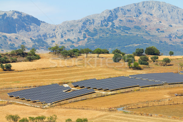 Panouri solare însorit rural cer copac Imagine de stoc © BigKnell