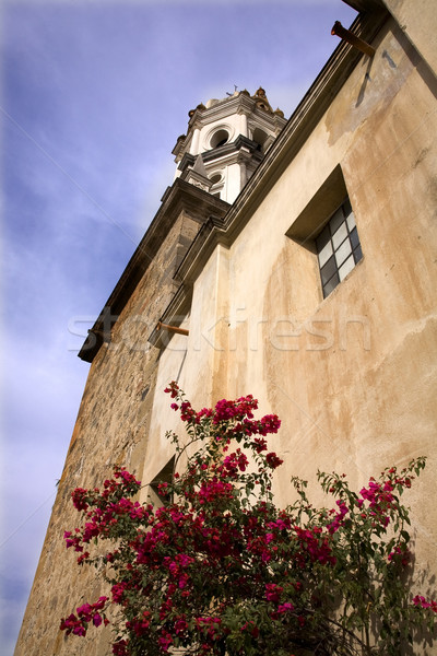White Stone Church Red Bouganvillea Mexico Stock photo © billperry