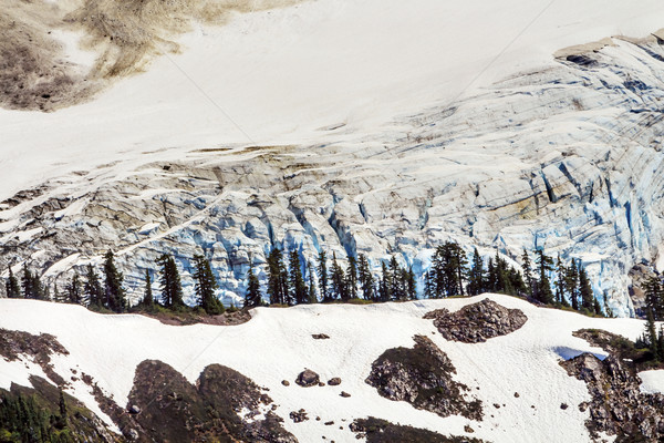 Mount Shuksan Glacier Close Up Evergreens Artist Point Washingto Stock photo © billperry