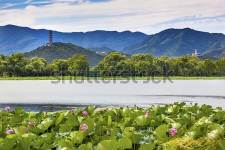 Yue Feng Pagoda Lotus Garden Reflection Summer Palace Beijing, C Stock photo © billperry