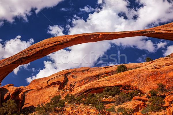 Landscape Arch Blue Sky  Rock Canyon Devils Garden Arches Nation Stock photo © billperry