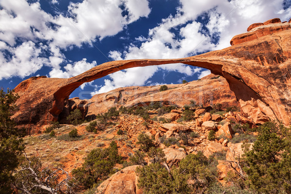 Landschap boog blauwe hemel rock canyon tuin Stockfoto © billperry