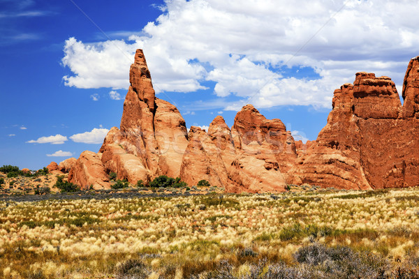 Stockfoto: Rock · formatie · canyon · park · Rood · oranje