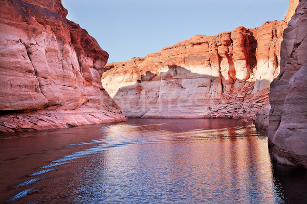 Stock foto: Rosa · Canyon · Reflexion · See · Arizona · Wasser