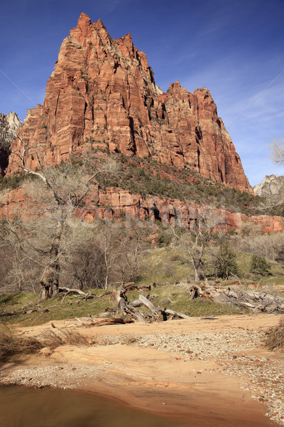 Court of Patricarchs Virgin River Zion Canyon National Park Utah Stock photo © billperry