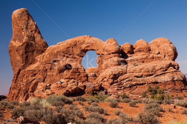 Turret Arch Rock Canyon Windows Section Arches National Park Moa Stock photo © billperry