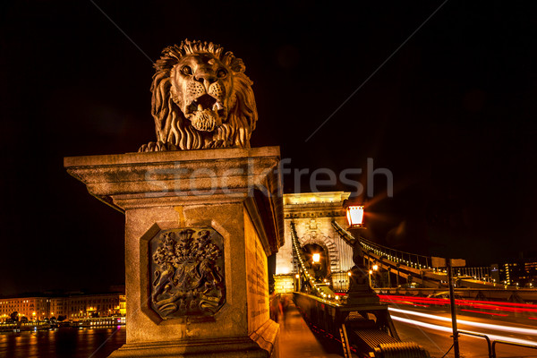 Chain Bridge Lion Danube River Traffic Lights Budapest Hungary Stock photo © billperry