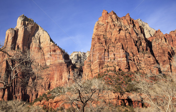 Court of Patricarchs Zion Canyon National Park Utah  Stock photo © billperry