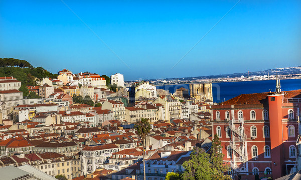 Belevedere Miradoura de Sao Pedro de Alcantara Outlook Cathedral Stock photo © billperry