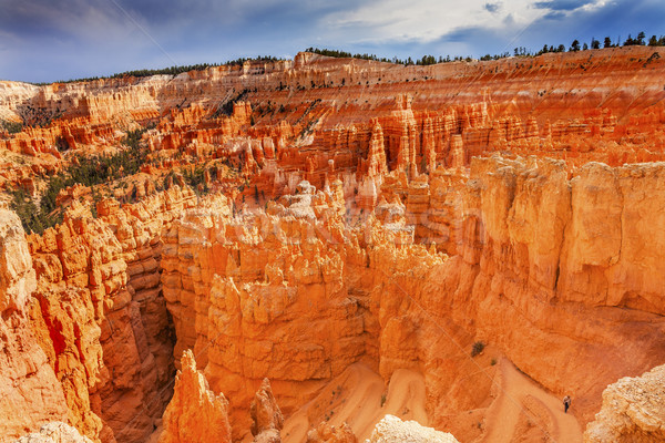 Trail Downward Hoodoos Bryce Point Bryce Canyon National Park Ut Stock photo © billperry
