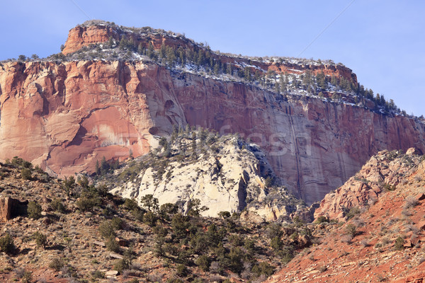 Czerwony rock kanion śniegu zachód świątyni Zdjęcia stock © billperry