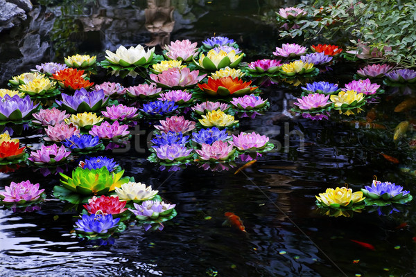 Karpfen Teich künstliche Wasser buddha Tempel Stock foto © billperry
