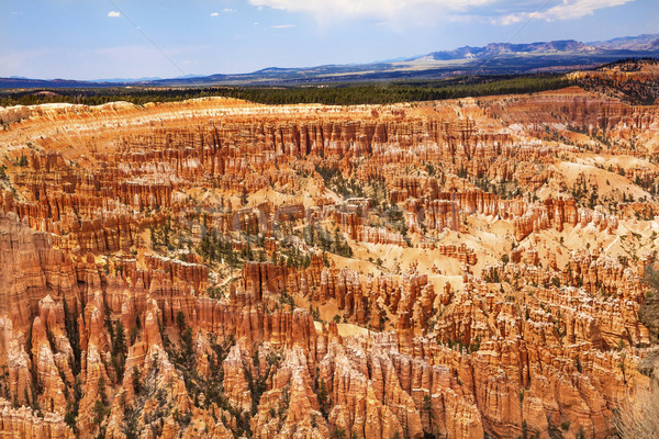 Stockfoto: Amfitheater · inspiratie · punt · canyon · park · Utah