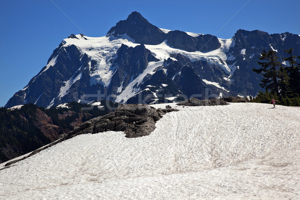 Snowfields Artist Point Mount Shuksan Washington State Stock photo © billperry