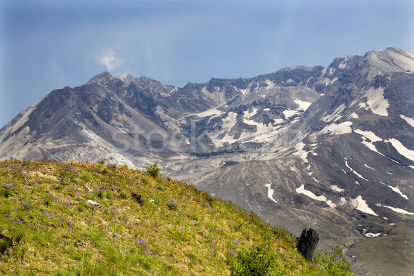 Caldera Lava Dome Mount Saint Helens Volcano National Park Washi Stock photo © billperry