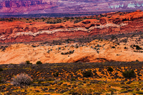 Painted Desert Yellow Grass Lands Orange Sandstone Red Moab Faul Stock photo © billperry