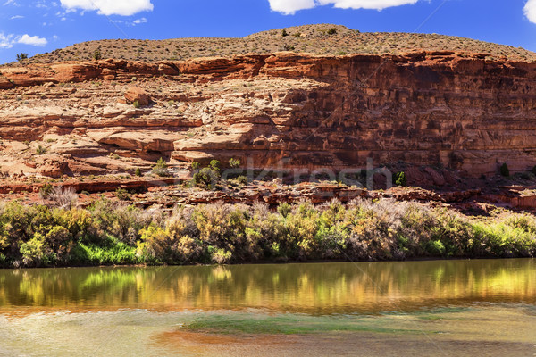 Colorado River Rock Canyon Reflection Near Arches National Park  Stock photo © billperry