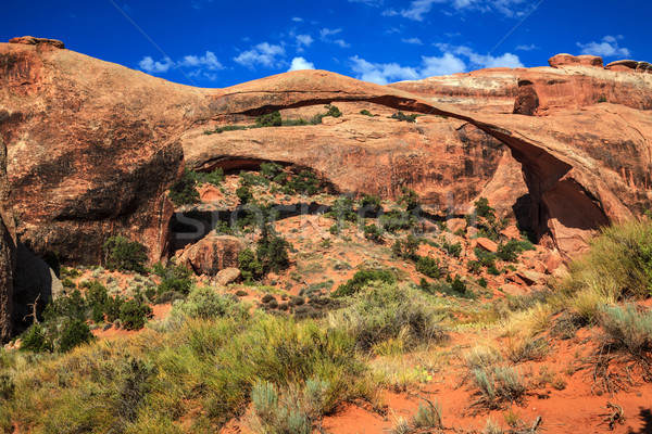 Landscape Arch Rock Canyon Devils Garden Arches National Park Mo Stock photo © billperry