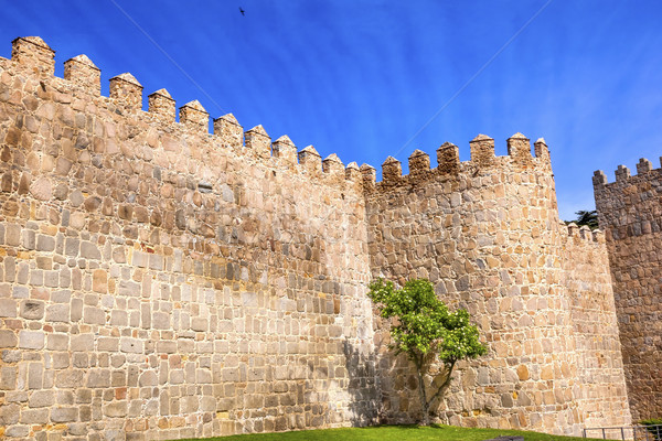 Avila Town Castle Walls Turret  Swallows Castile Spain Stock photo © billperry