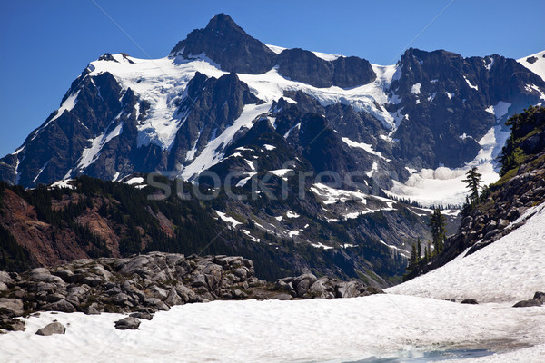 Snowfields Artist Point Glaciers Mount Shuksan Washington State Stock photo © billperry