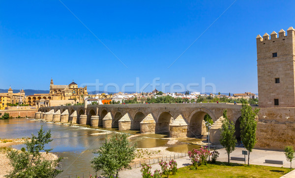 Ancient Roman Bridge Entrance River Guadalquivir Cordoba Spain Stock photo © billperry