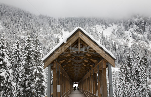 Long Snowy Wooden Covered Bridge Washington  Stock photo © billperry